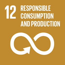 SDG 12 — Responsible Consumption and Production