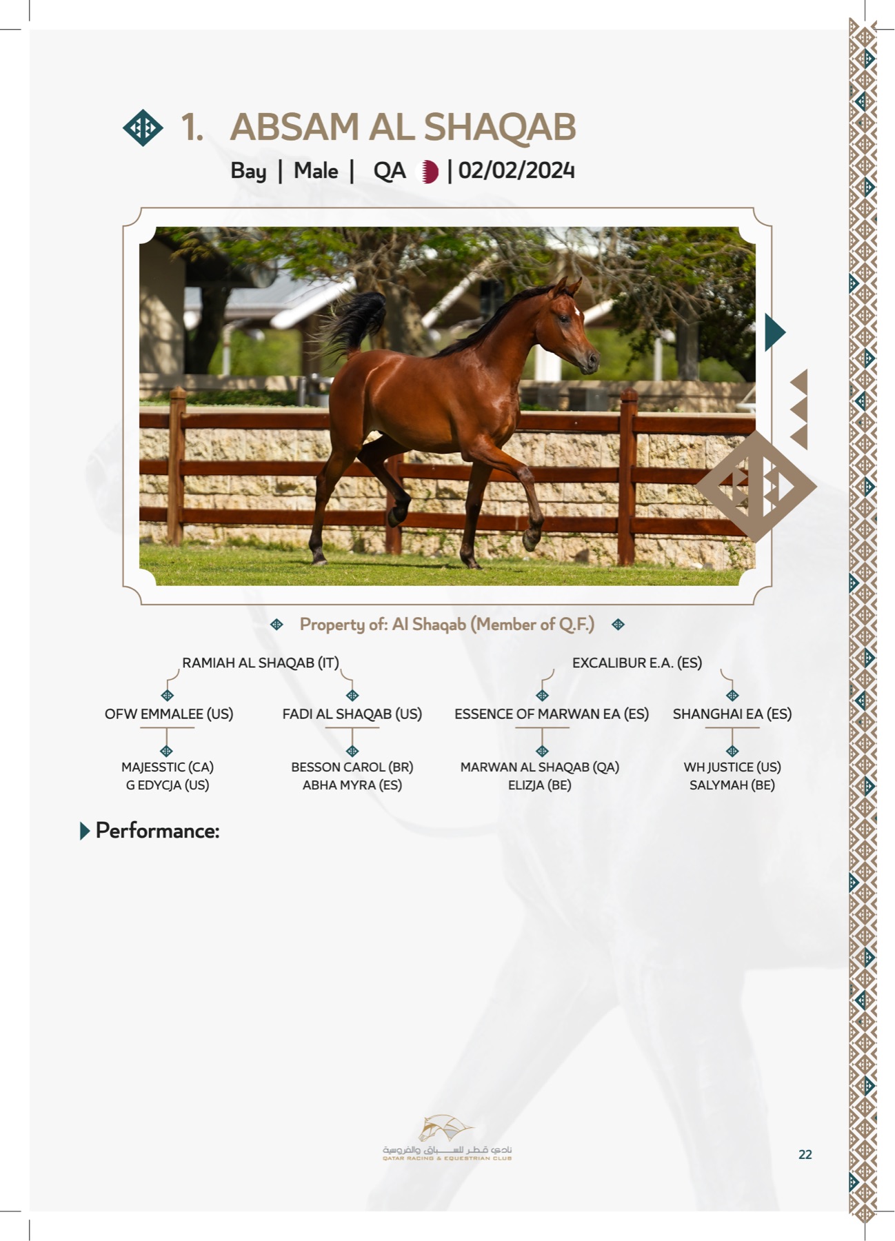 A QREC auction catalogue lot page — Lot 1, Absam Al Shaqab