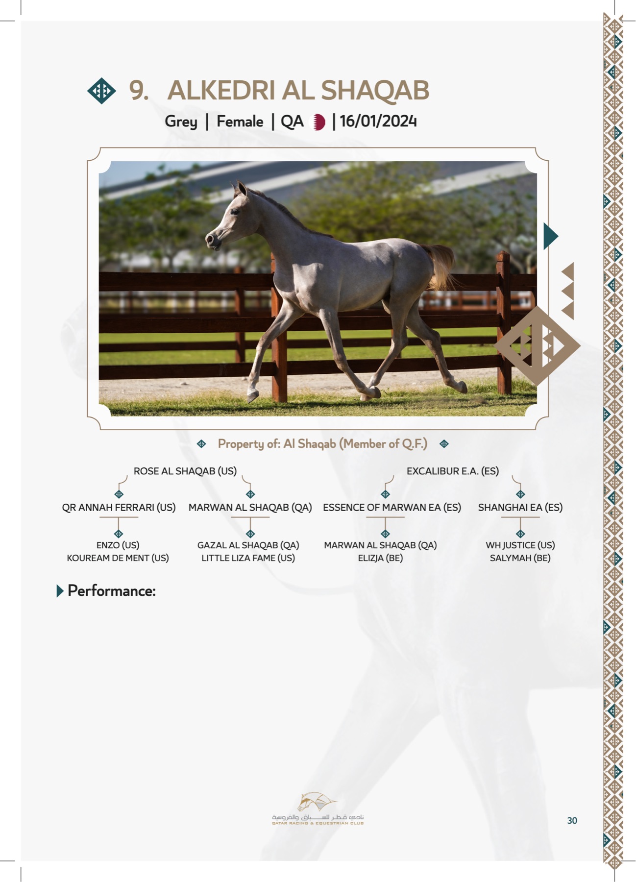 A lot page — grey Arabian