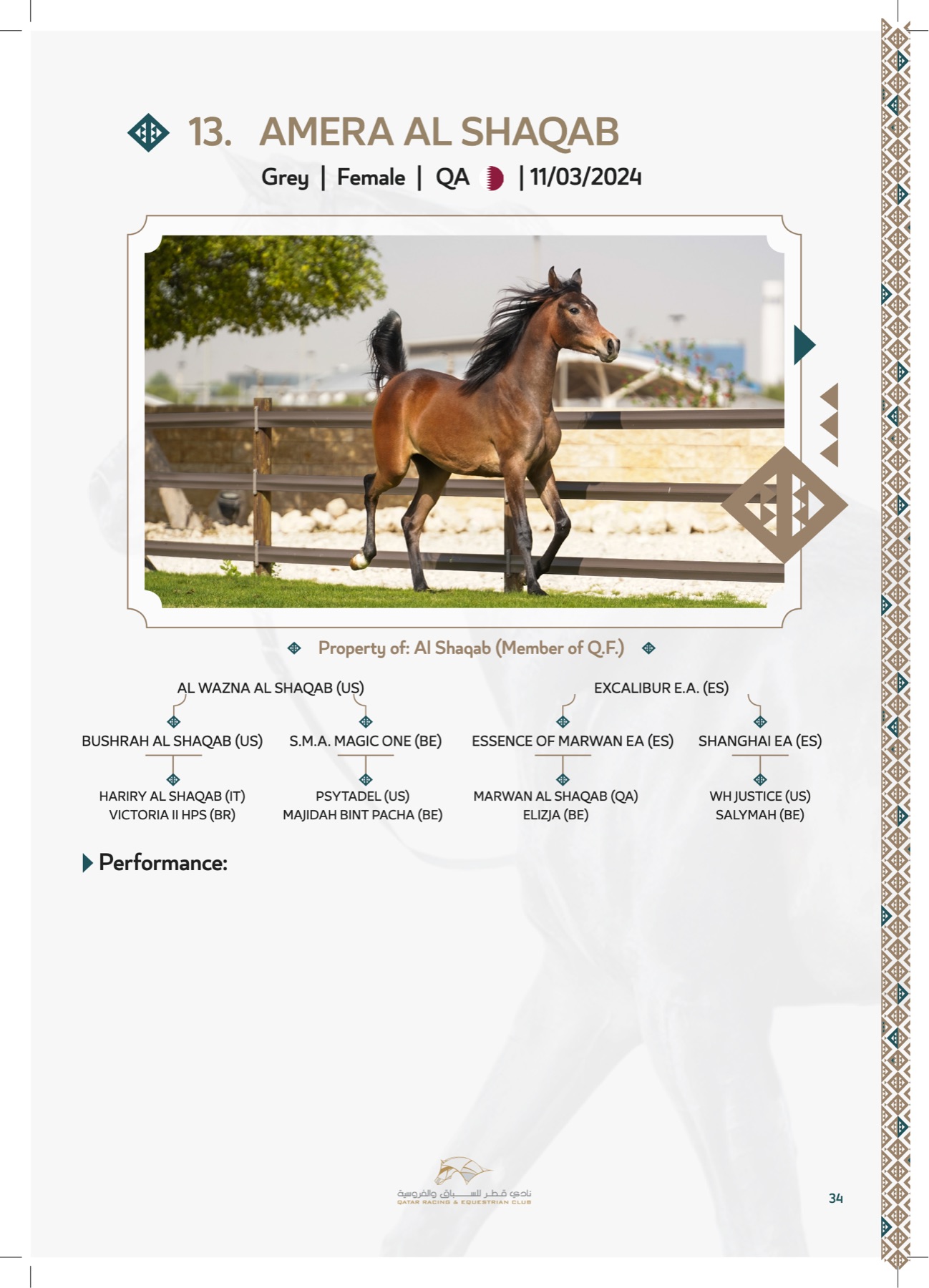 A lot page — bay Arabian