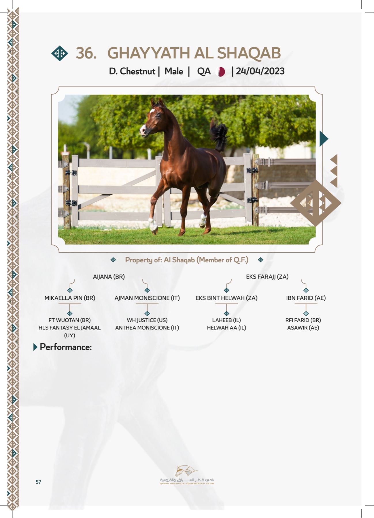 Lot — Ghayyath Al Shaqab, trotting