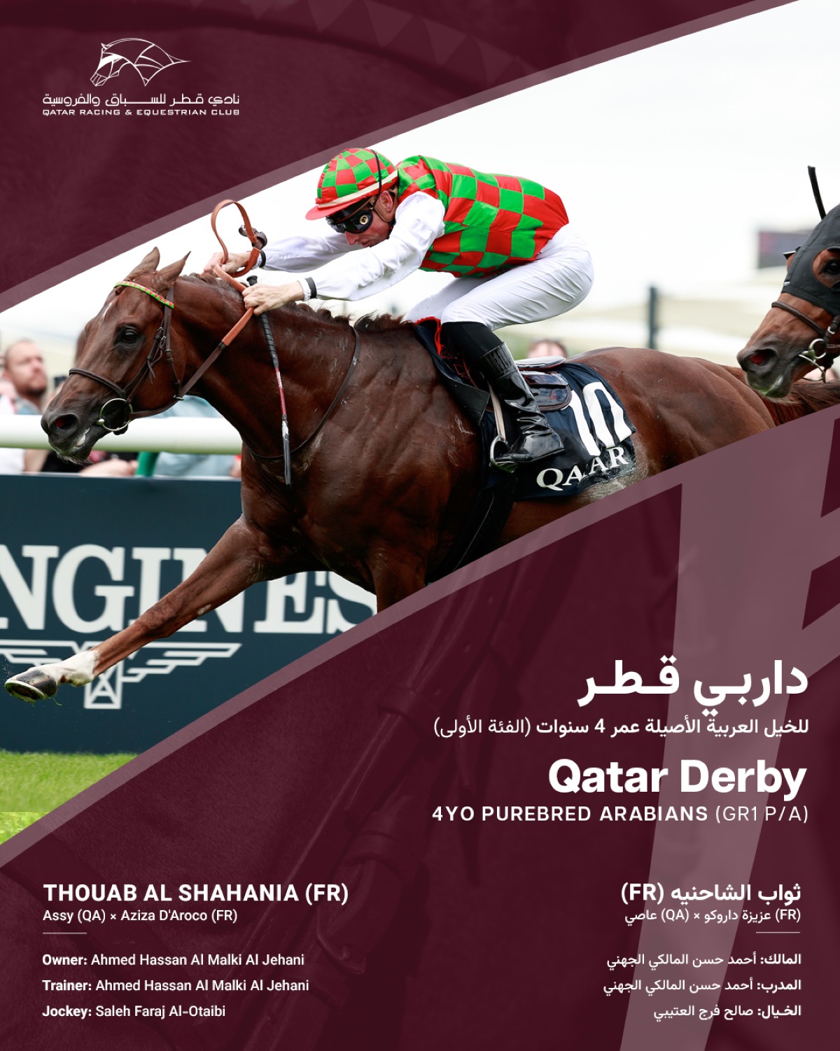 Qatar Derby winner card